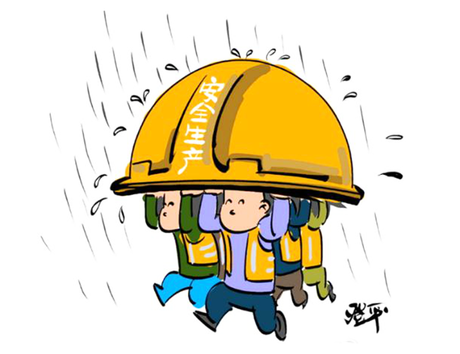 conpany news11 conpany news11